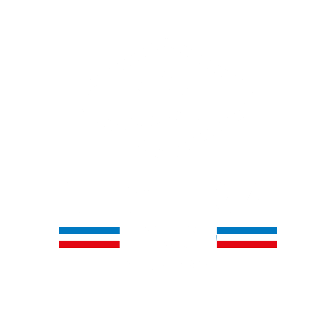 LESTRA PRO